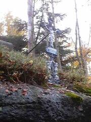 HQ11 - pomnicek u cesty z Bileho Potoka na Vlci louku, na SZ svahu Smedavske hory